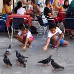 "Poisoning pigeons in the park", Tom Lehrer.